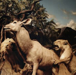 Interpol - Our Love To Admire (2007)