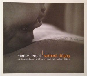 Tamer Temel - Serbest Düşüş (2016)