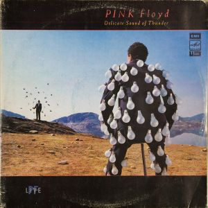 Pink Floyd - Delicate Sound Of Thunder (1990)