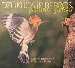 Vidmantas Blažys - Dzūkijos ir Bebros - Gamtos garsai - Dzwięki Natury Regionu Dzukii I Biebrzy (2018)