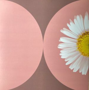 Daisy Glow - Give It All (2020)