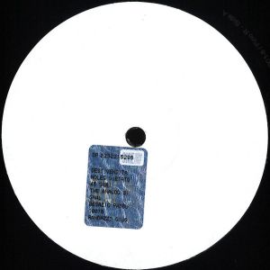 Pino R. - The Analog Signal (2022)