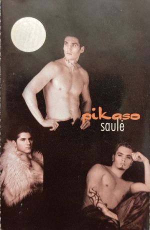 Pikaso - Saulė (2000)