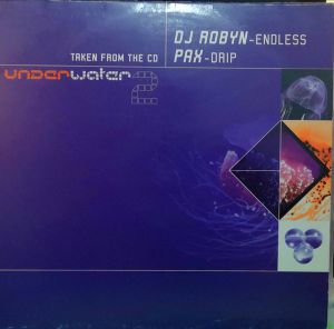 DJ Robyn / Pax - Endless / Drip (1999)