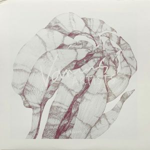 Various - Box Aus Holz 001 Lost Tracks (2015)