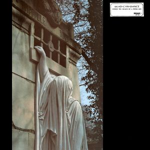 Dead Can Dance - Within The Realm Of A Dying Sun (1992)