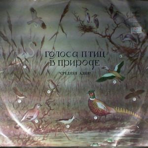 No Artist - Птицы Средней Азии (1973)